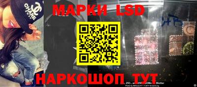 гашик Будённовск