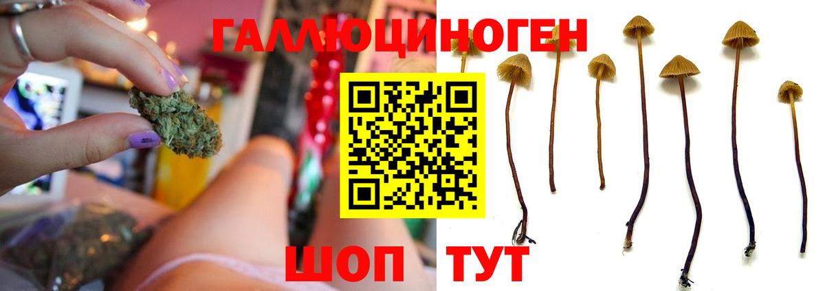 Псилоцибиновые грибы Magic Shrooms  Галлюциногенные грибы MAGIC MUSHROOMS  Вход с VPN  Новомосковск 